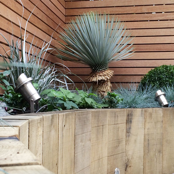 Evergreen planting in circular raised borders making the space appear larger in London